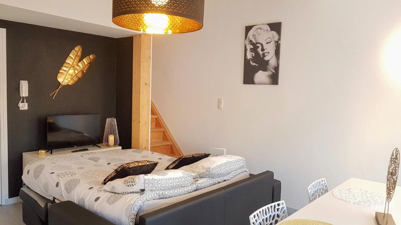Les Nuits D'Anis - Appartements Hypercentre Le Puy-en-Velay Exterior foto